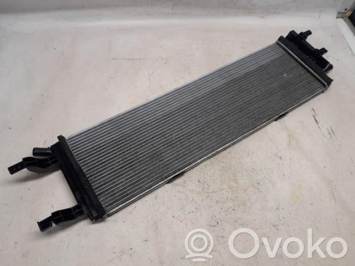 Renault Austral Coolant radiator 