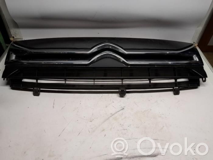 Citroen Jumpy Front grill 