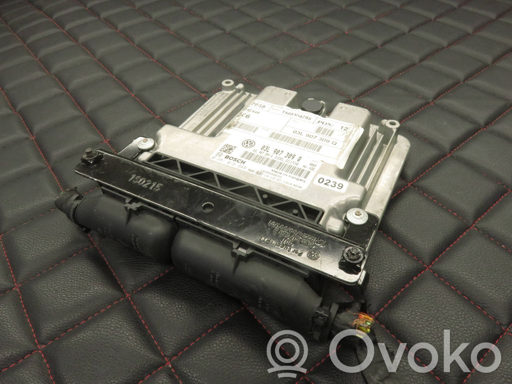 Engine control unit/module   0281016949,03L907309Q