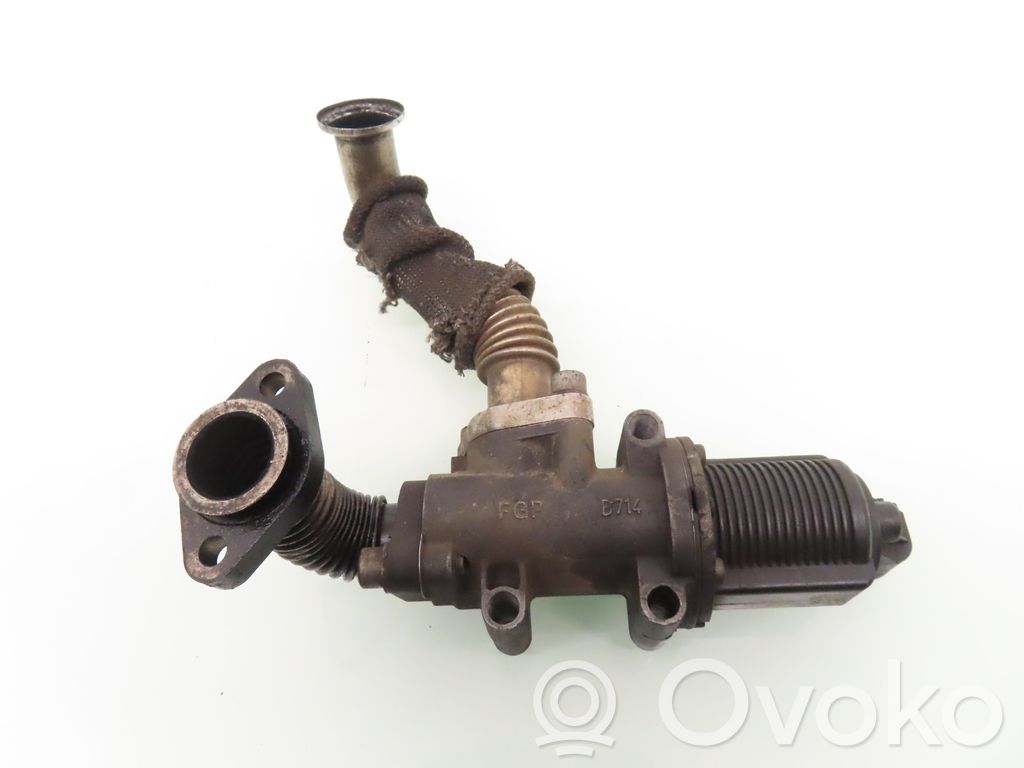 Válvula EGR   50024005,50024005