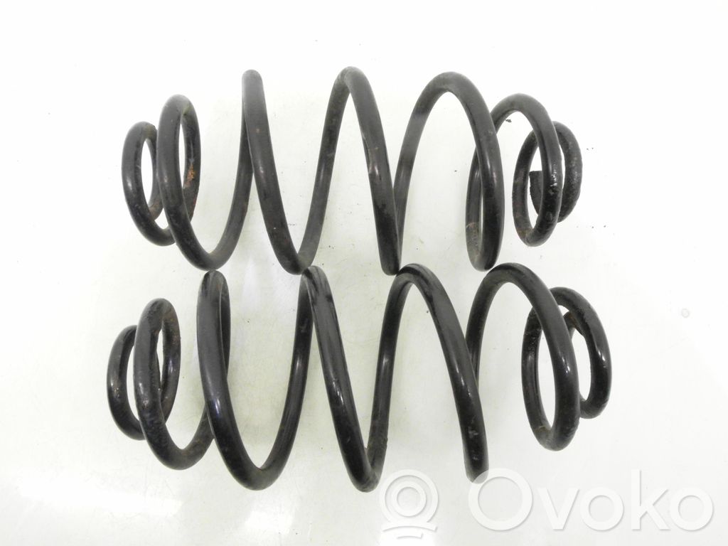 Rear coil spring