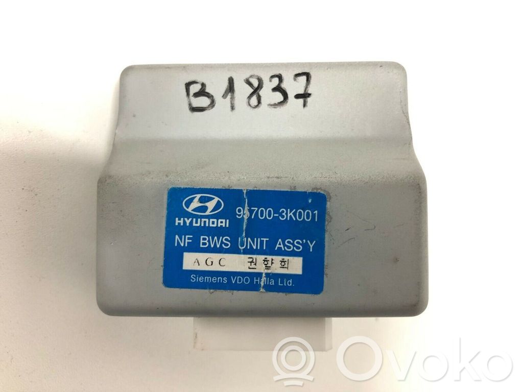 Hyundai Sonata Other control units/modules 