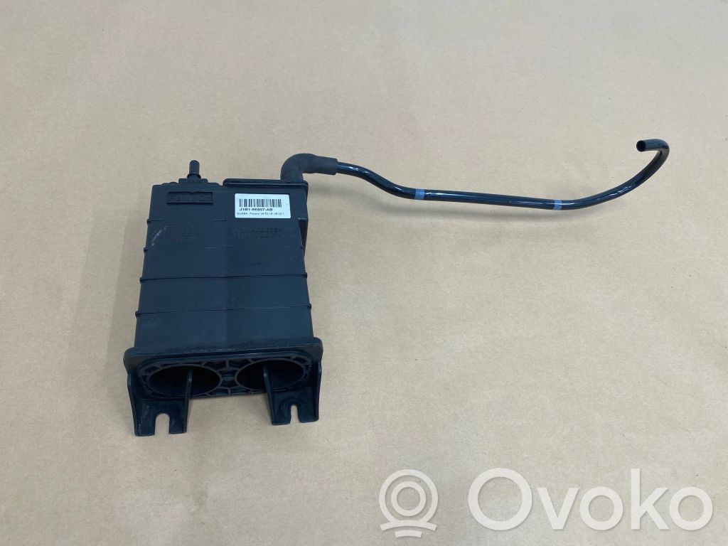Ford Fiesta Aktīvā oglekļa (degvielas tvaiku) filtrs 