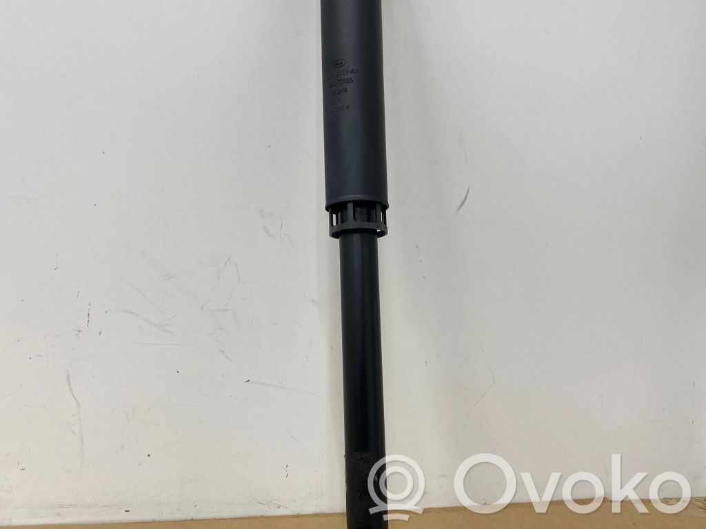 Amortyzator tylny   H1BC18159AA,06070165