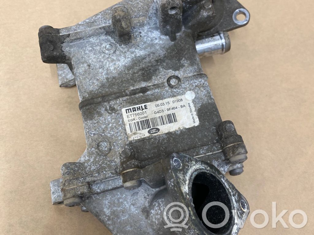 Land Rover Evoque I Chłodnica spalin EGR 