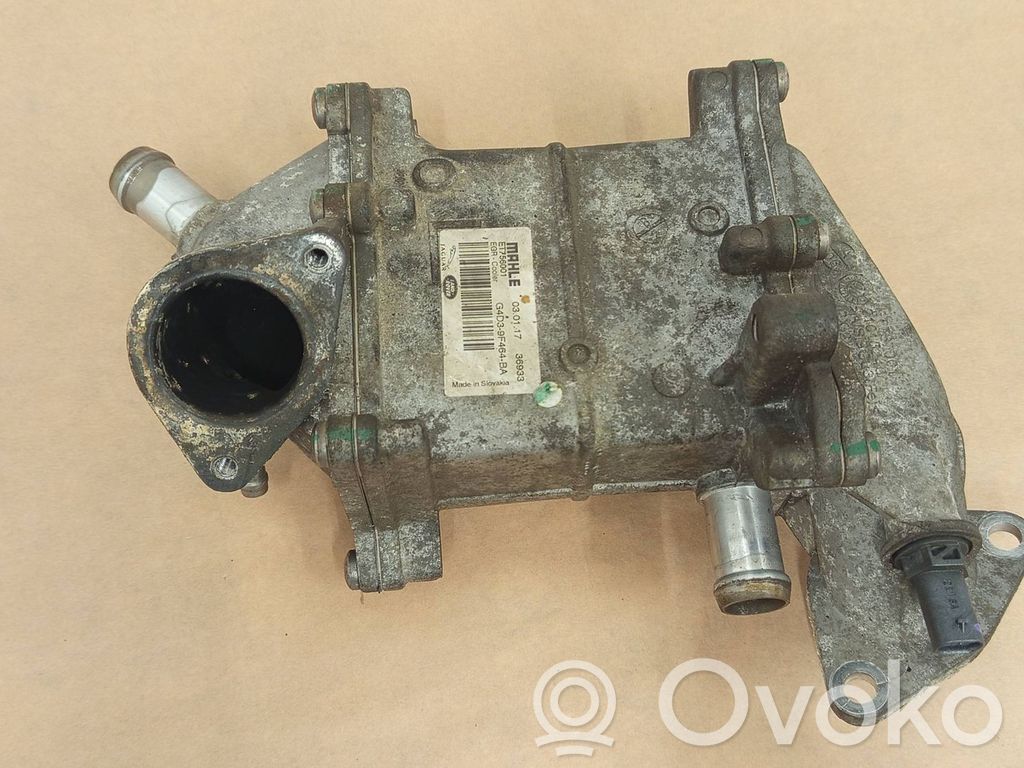 Land Rover Discovery Sport Chłodnica spalin EGR 