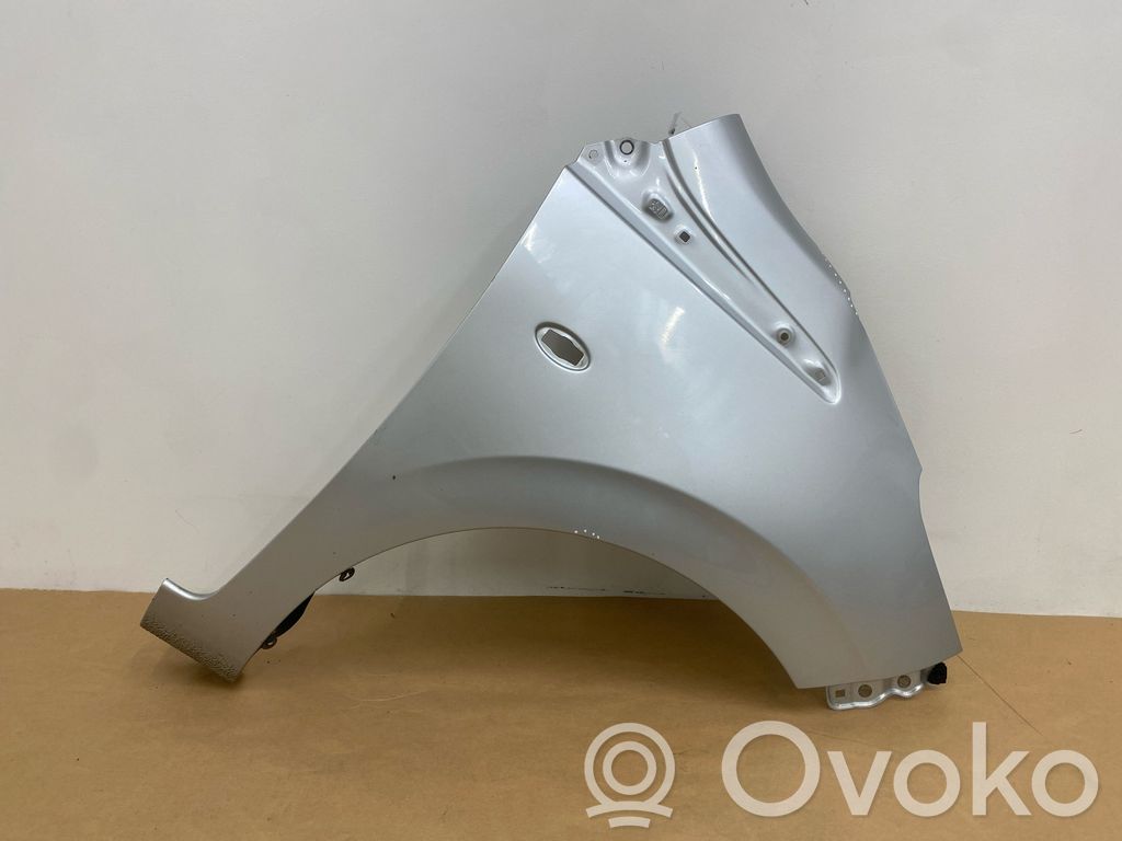 Guardabarro   538270H030