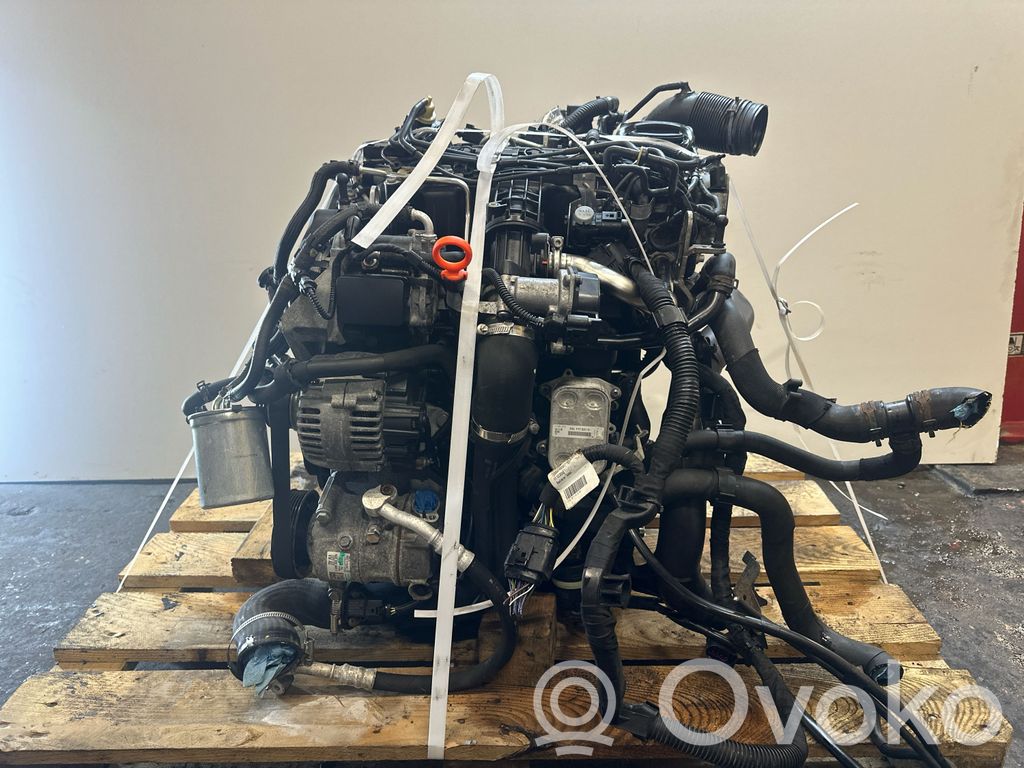 Engine   CAYV