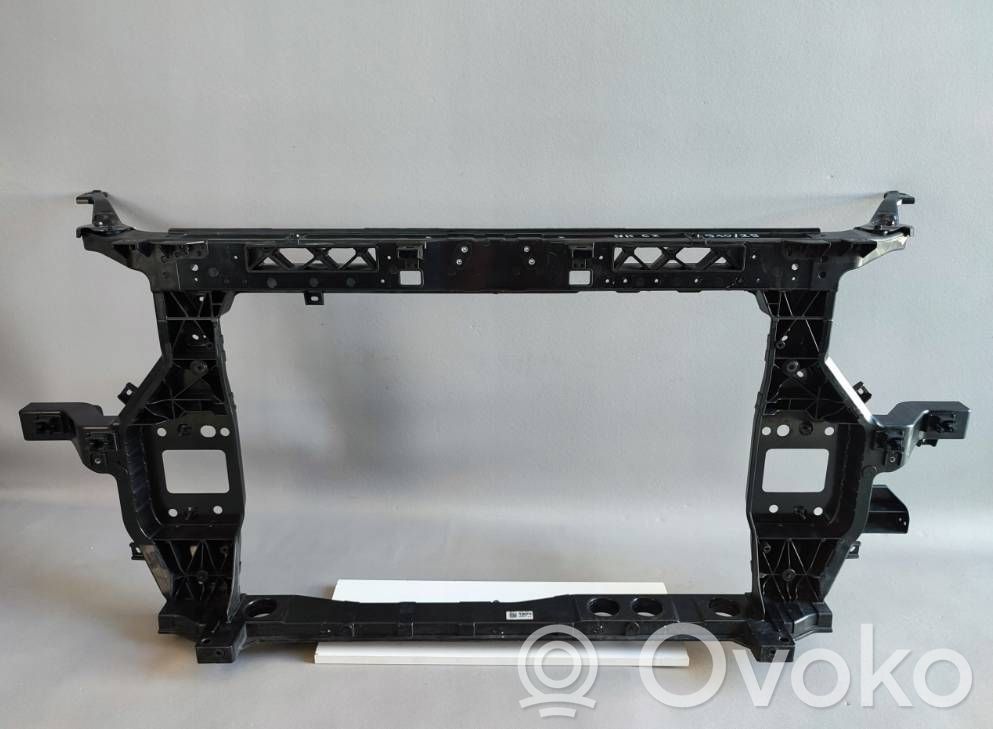 Hyundai Santa Fe Radiator support slam panel 