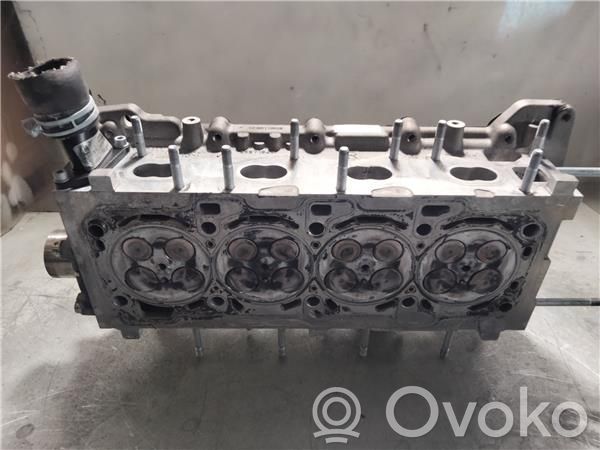 Engine head   55571949