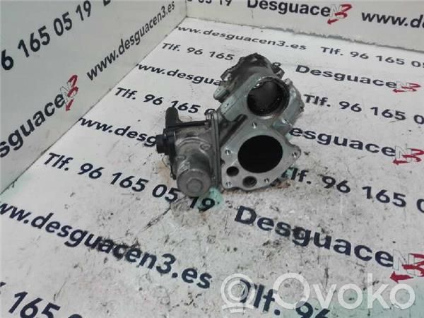 Renault Kangoo II EGR valve 