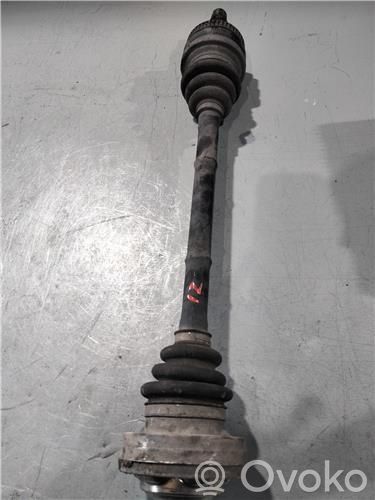 Kardāns komplektā   204D4