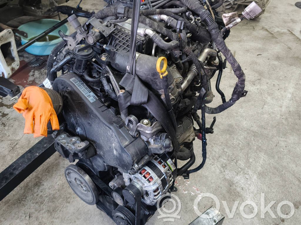 Austauschmotor