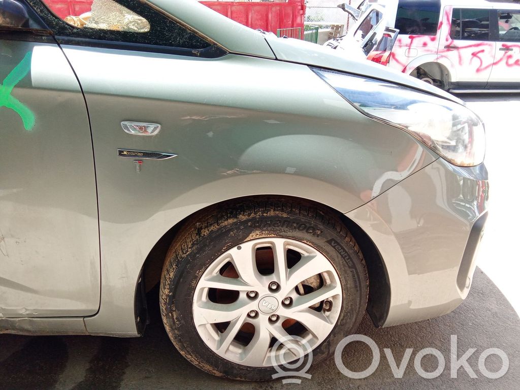KIA Carens III Guardabarro 