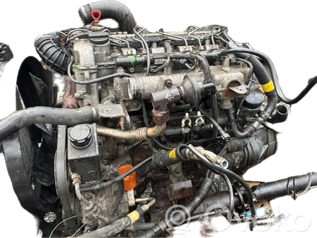 Motor