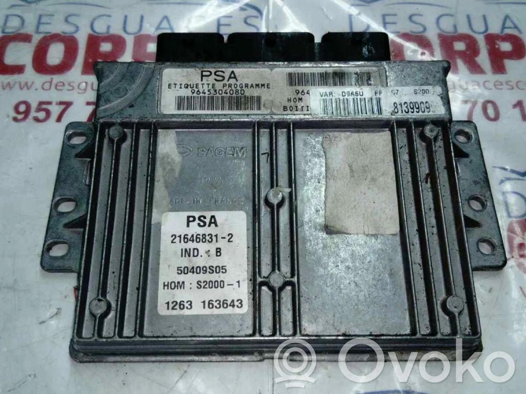Engine control unit/module ECU   9645304080