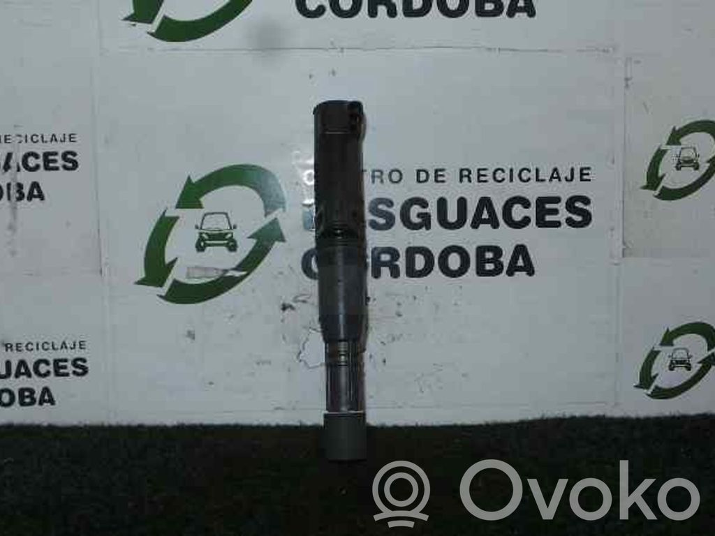 High voltage ignition coil   LAPIZ
