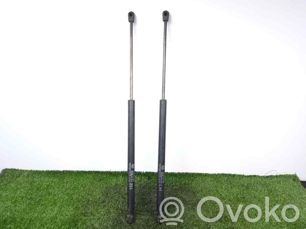 Tailgate/trunk strut/damper   620N