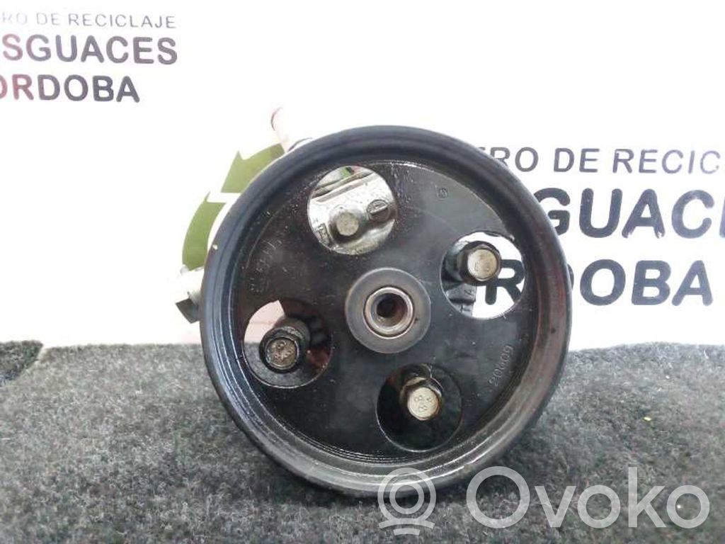 Pompa servosterzo   B9B0248813273784,POLEA14CM