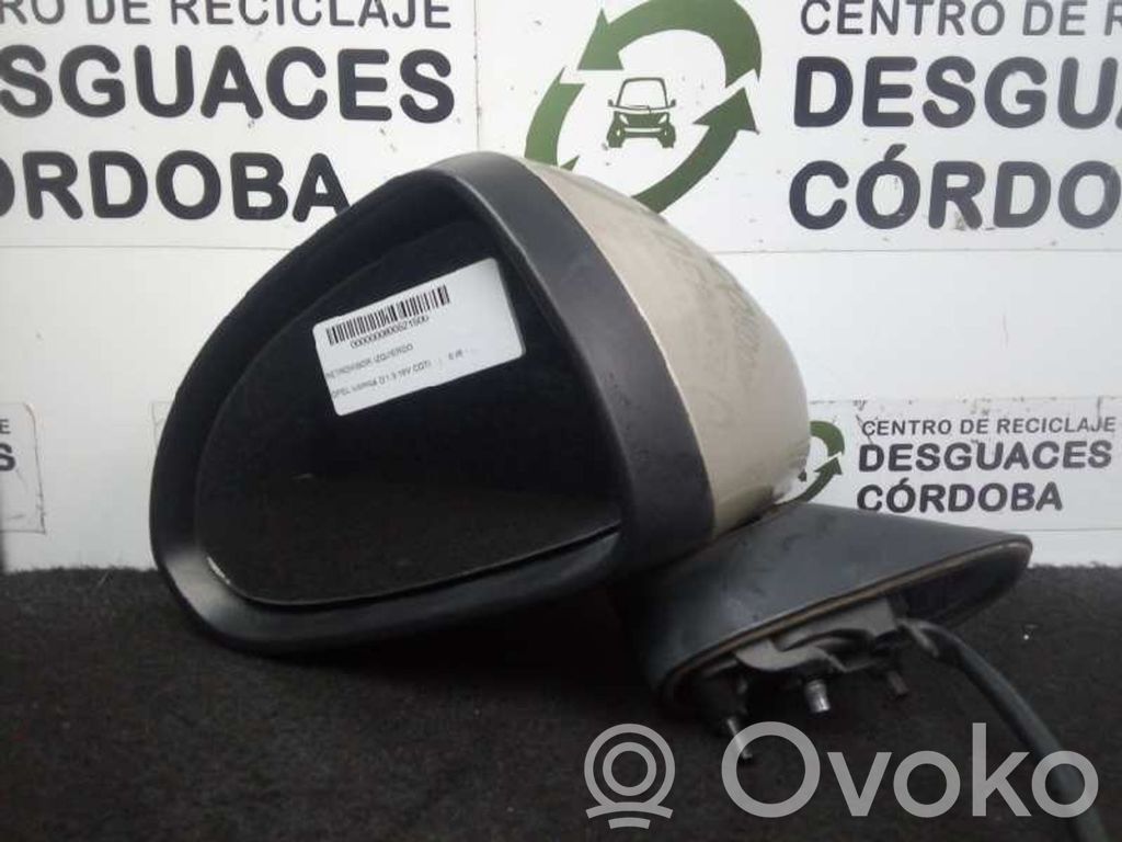 Front door electric wing mirror   CHAMPAGNE