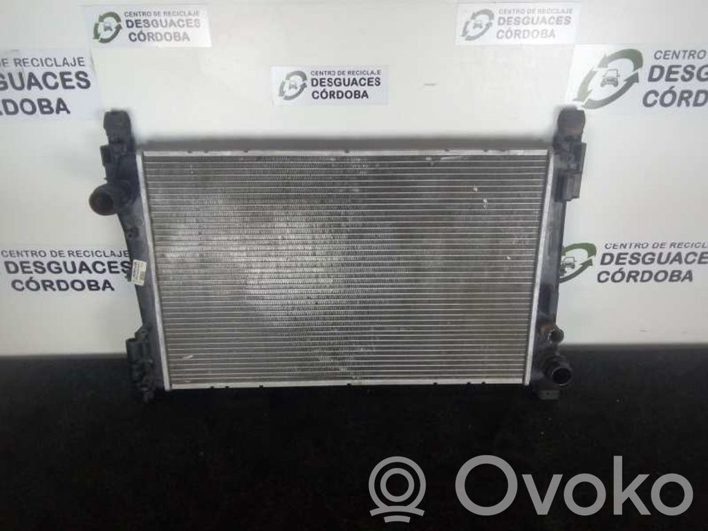 Coolant radiator   RA0200931,CORSAD619X412X16