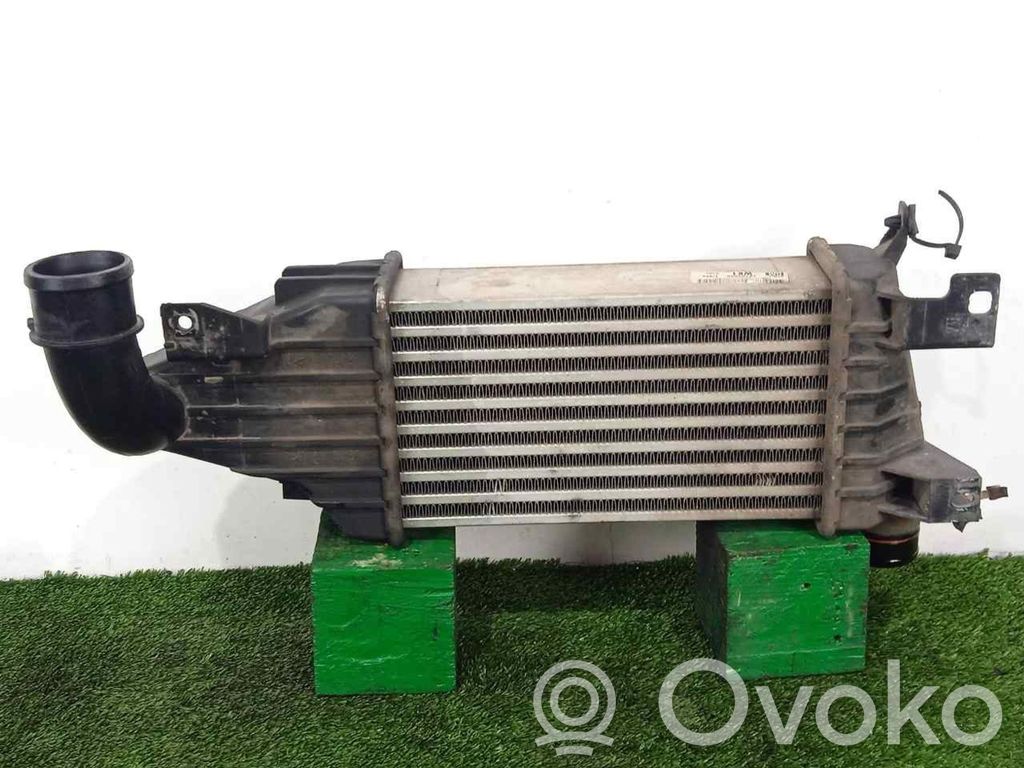 Intercooler radiator   13128926,127X220X63