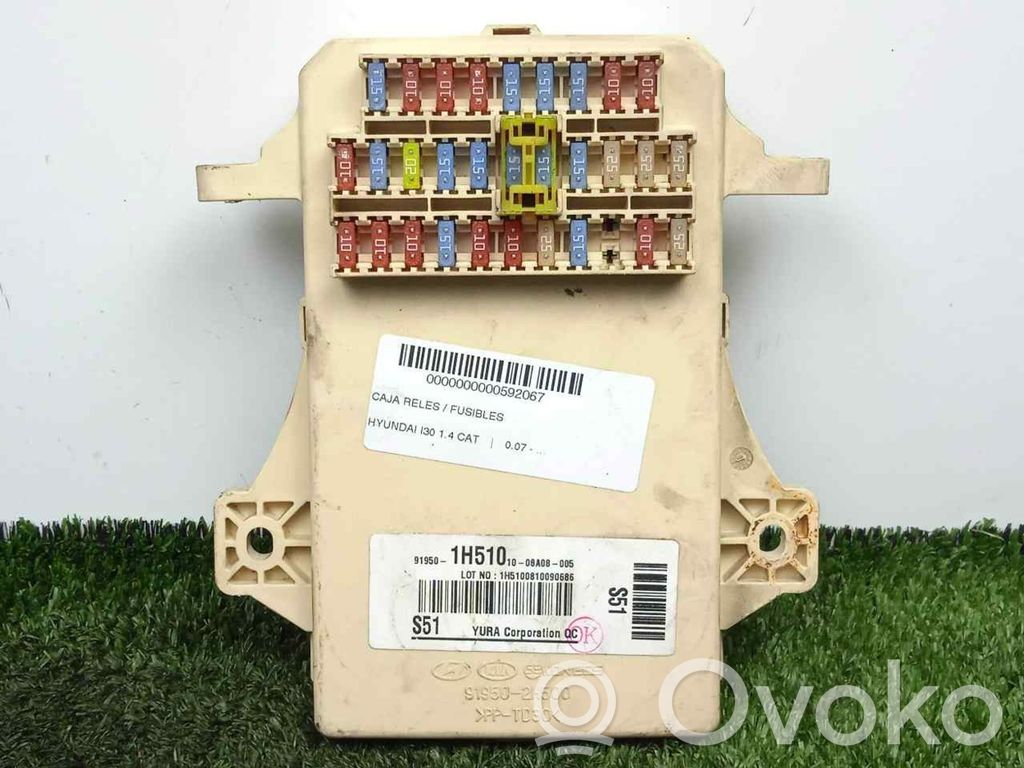 BSM Control unit   919501H510