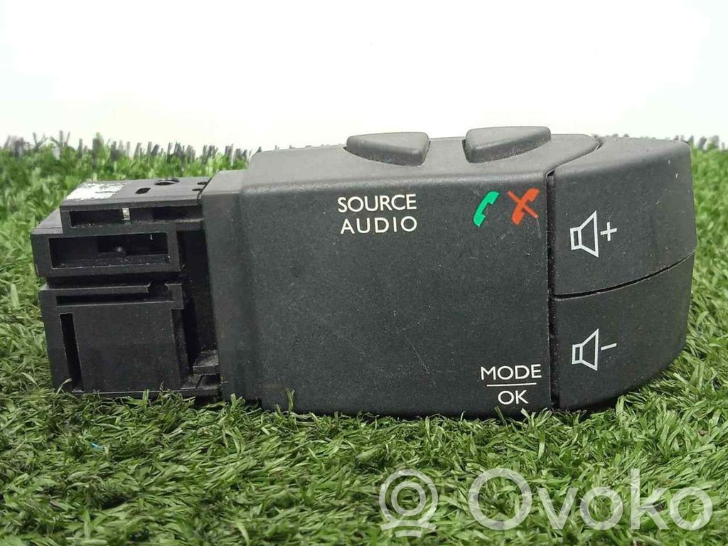 Multifunctional control switch/knob   255522448R