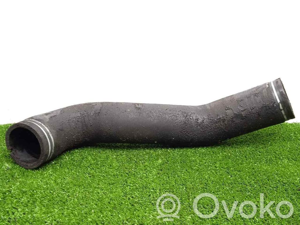 Coolant pipe/hose   60668329