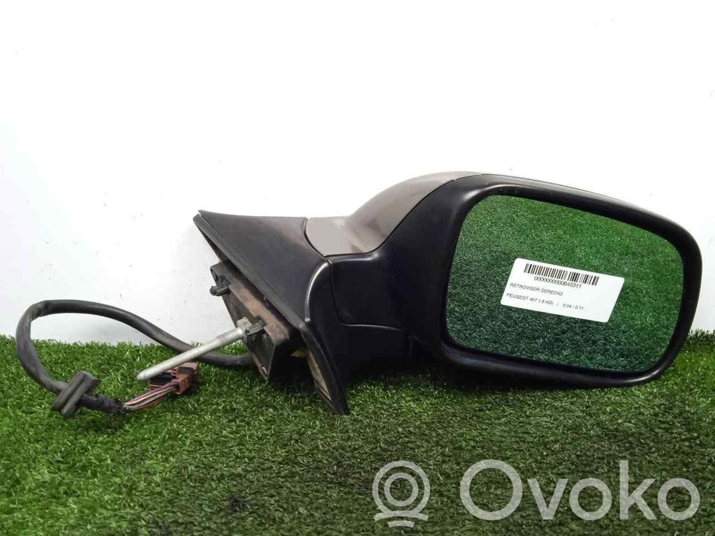Peugeot 407 Front door electric wing mirror 