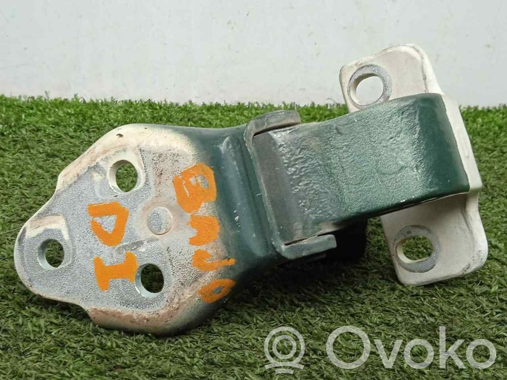 Tailgate/trunk/boot hinge   504131917