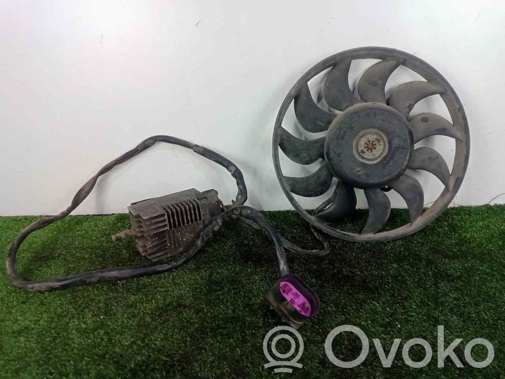 Elektrinis radiatorių ventiliatorius   869204E