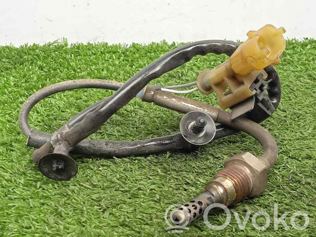 Sensor   55562433,2CABLES