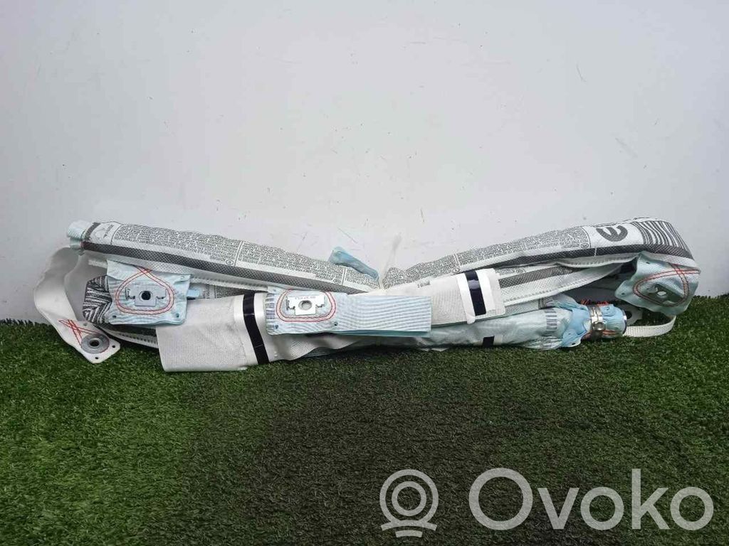 Airbag de la puerta delantera