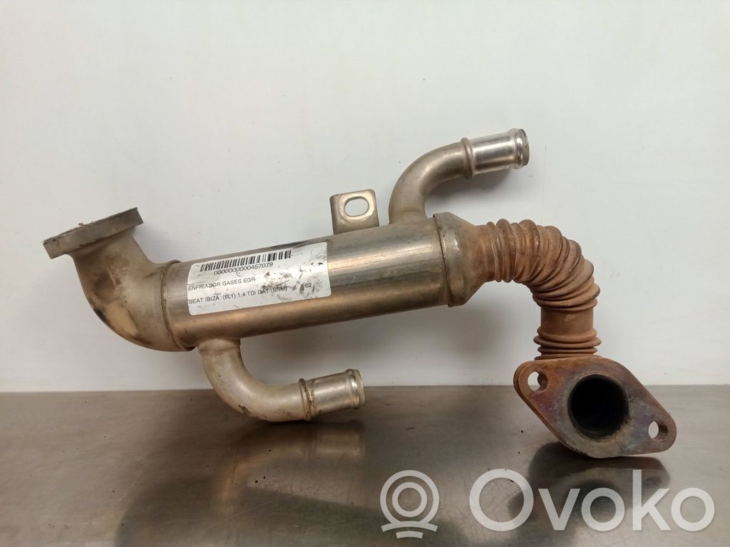 Seat Ibiza III (6L) EGR-venttiili 