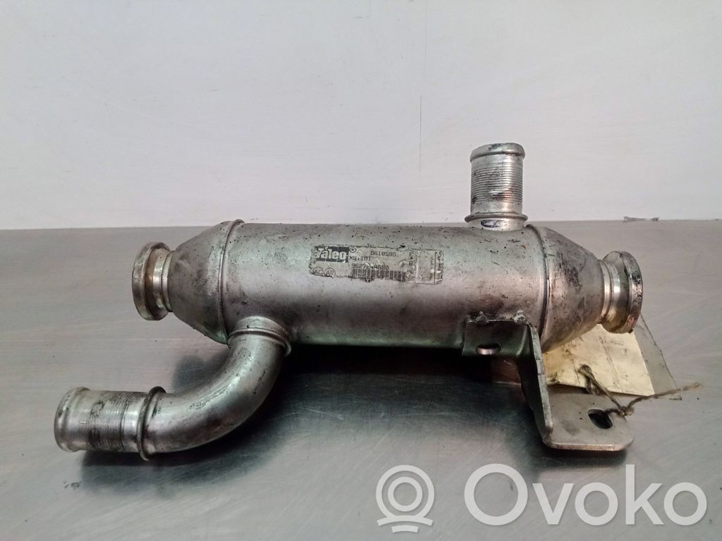 Válvula EGR   861059G9627242880