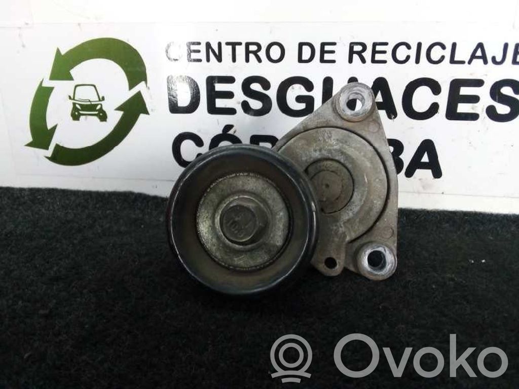 Tensor de correa del alternador   SINREF,POLIV