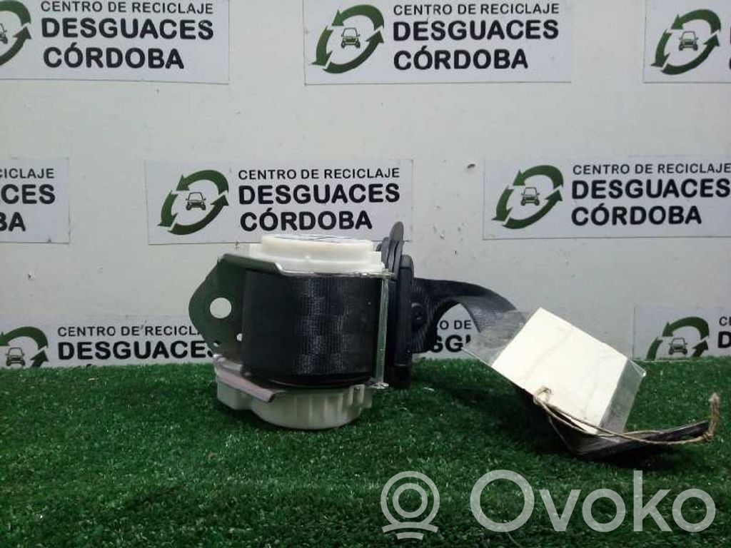 Cinturón trasero   34066879A3303573