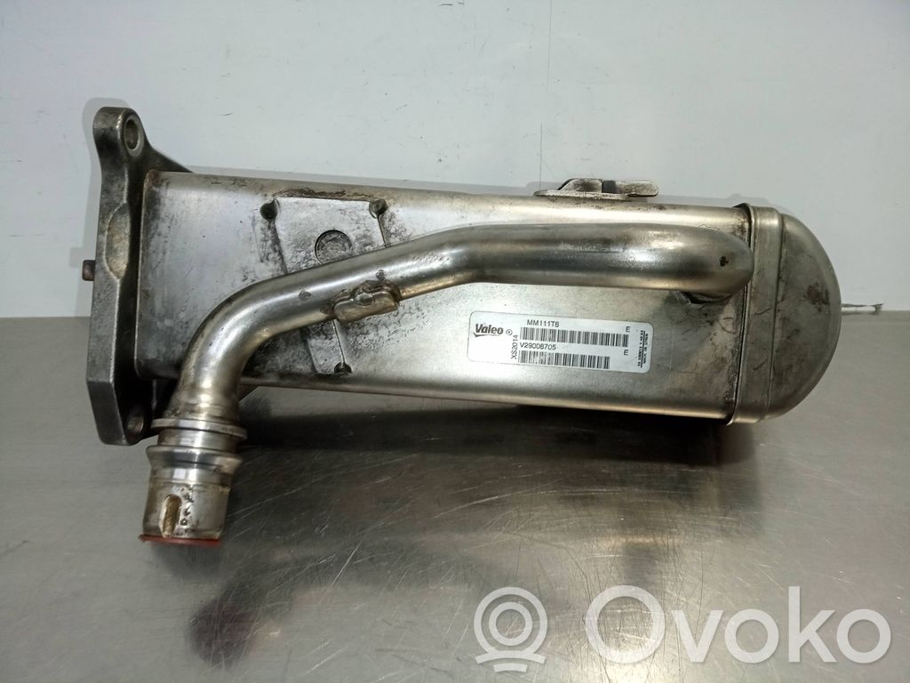 EGR vārsts   V29006705,VALEO