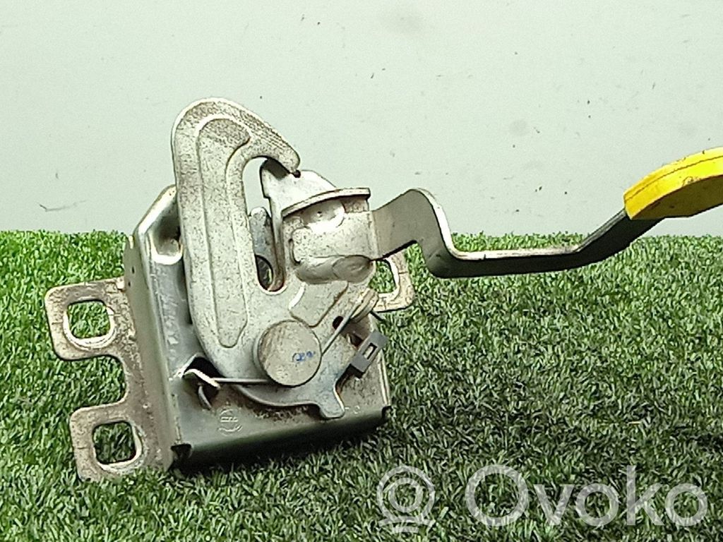 Tie down hook / loop   SINREFERENCIA