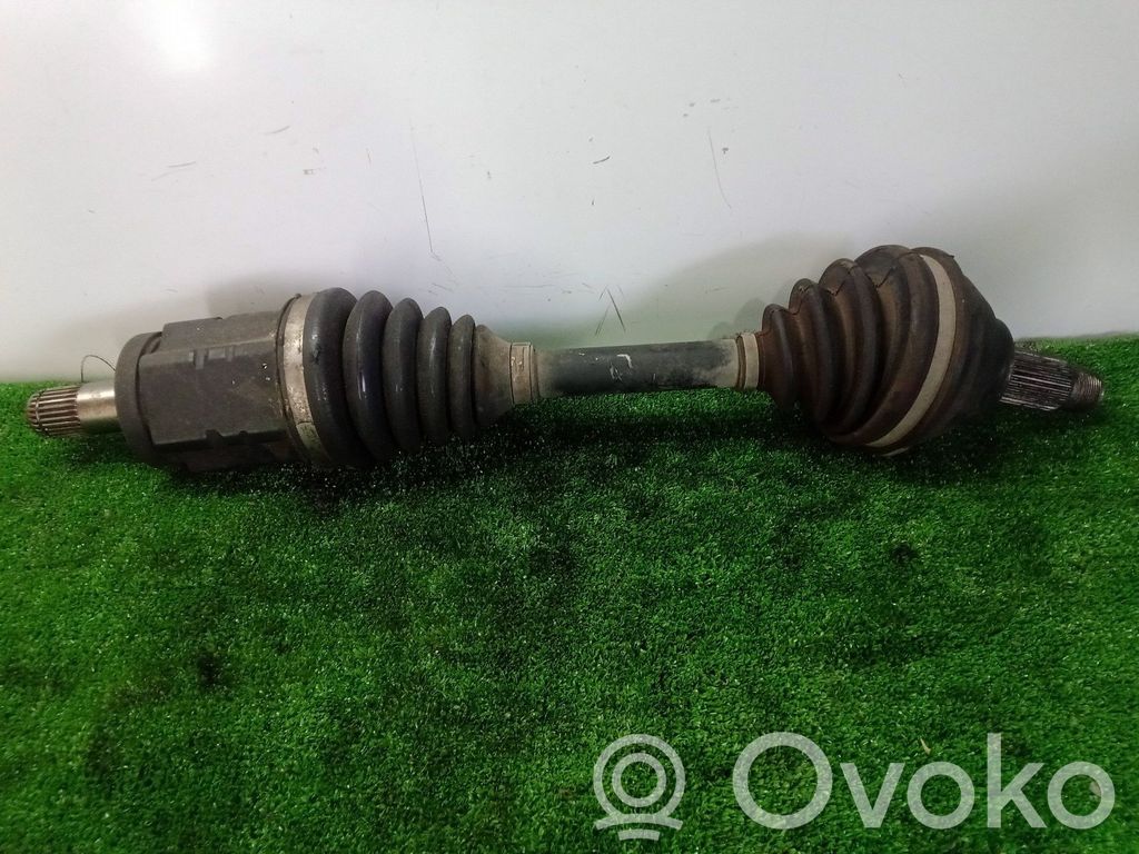 Priekšējā pusass   316075051