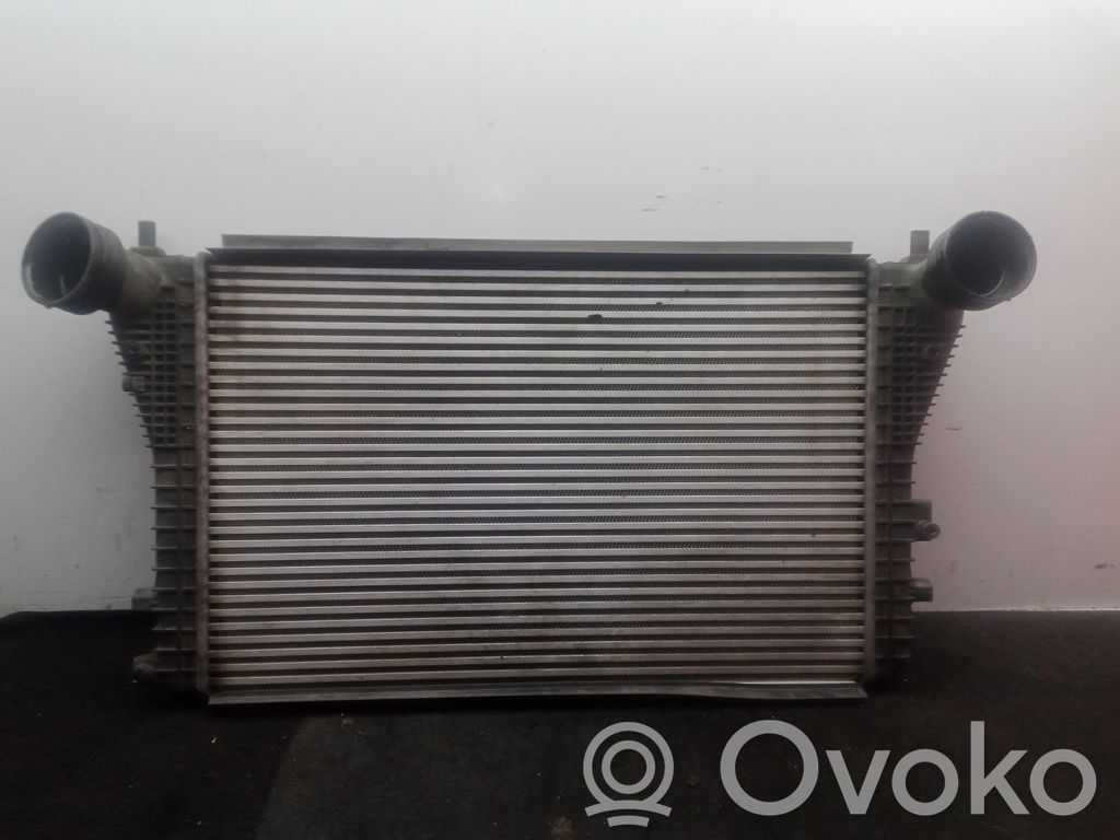 Volkswagen Jetta V Radiatore intercooler