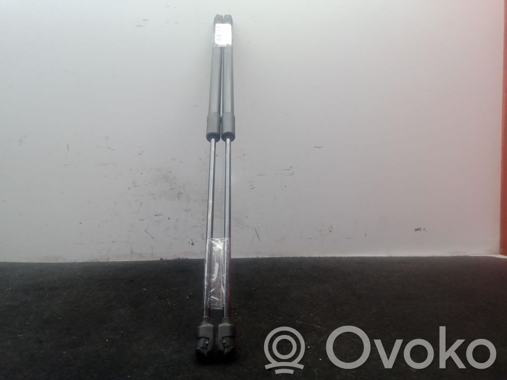 Tailgate/trunk strut/damper   0260N