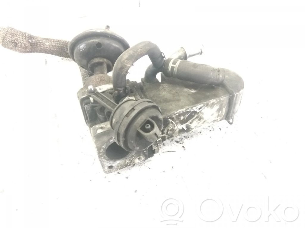 Volkswagen Touareg I Valvola EGR 