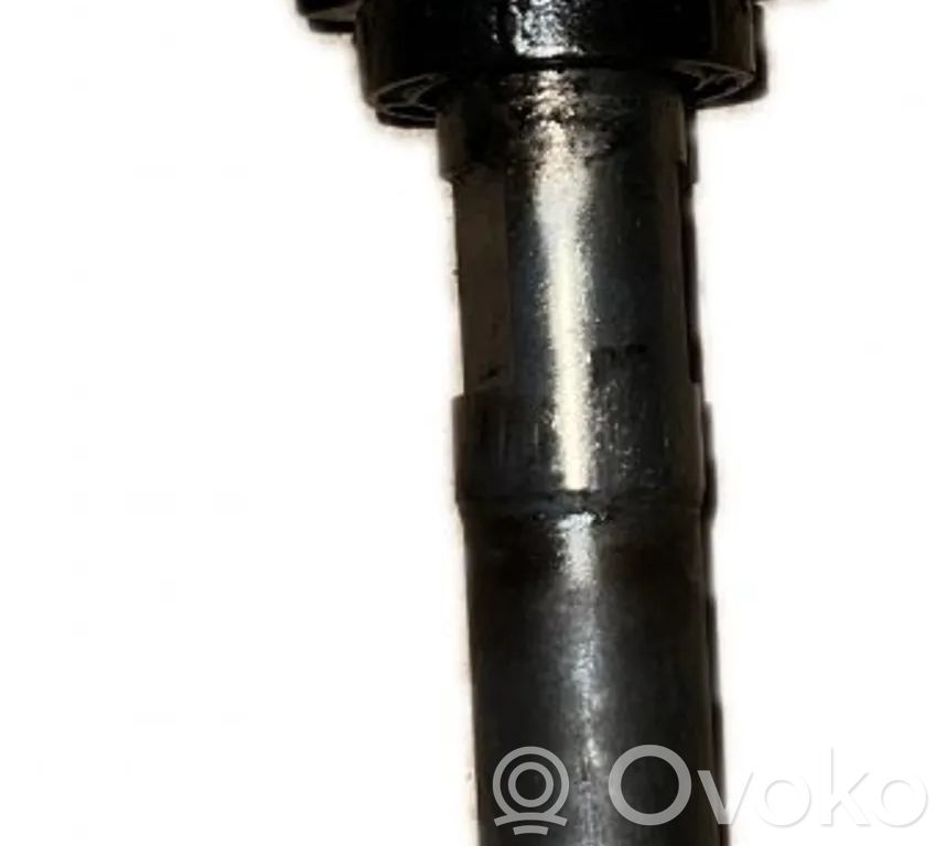 Injektor Einspritzdüse   0445110254