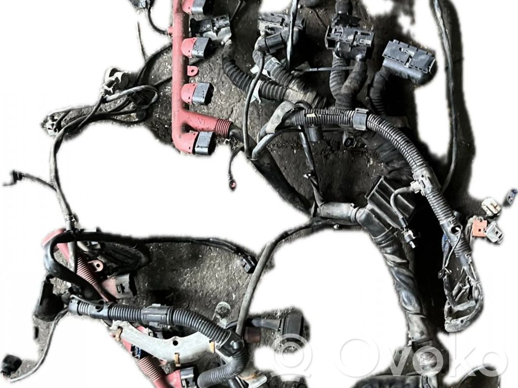 Engine installation wiring loom   4E1971713DE