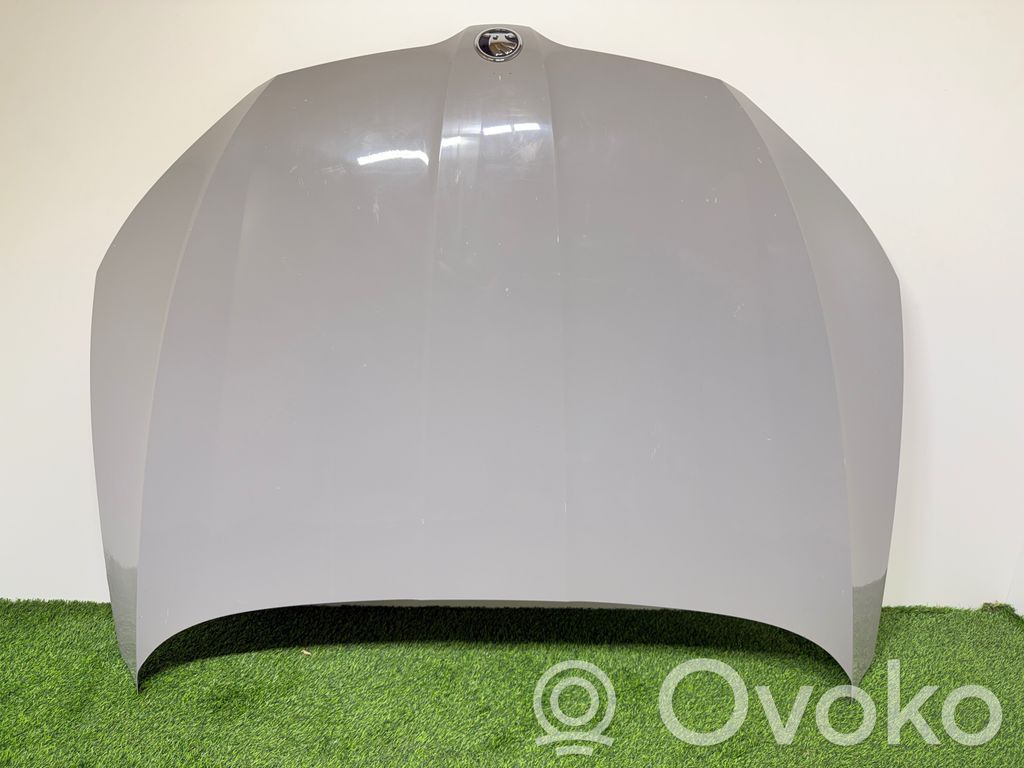 Capó/tapa del motor   3V0823155