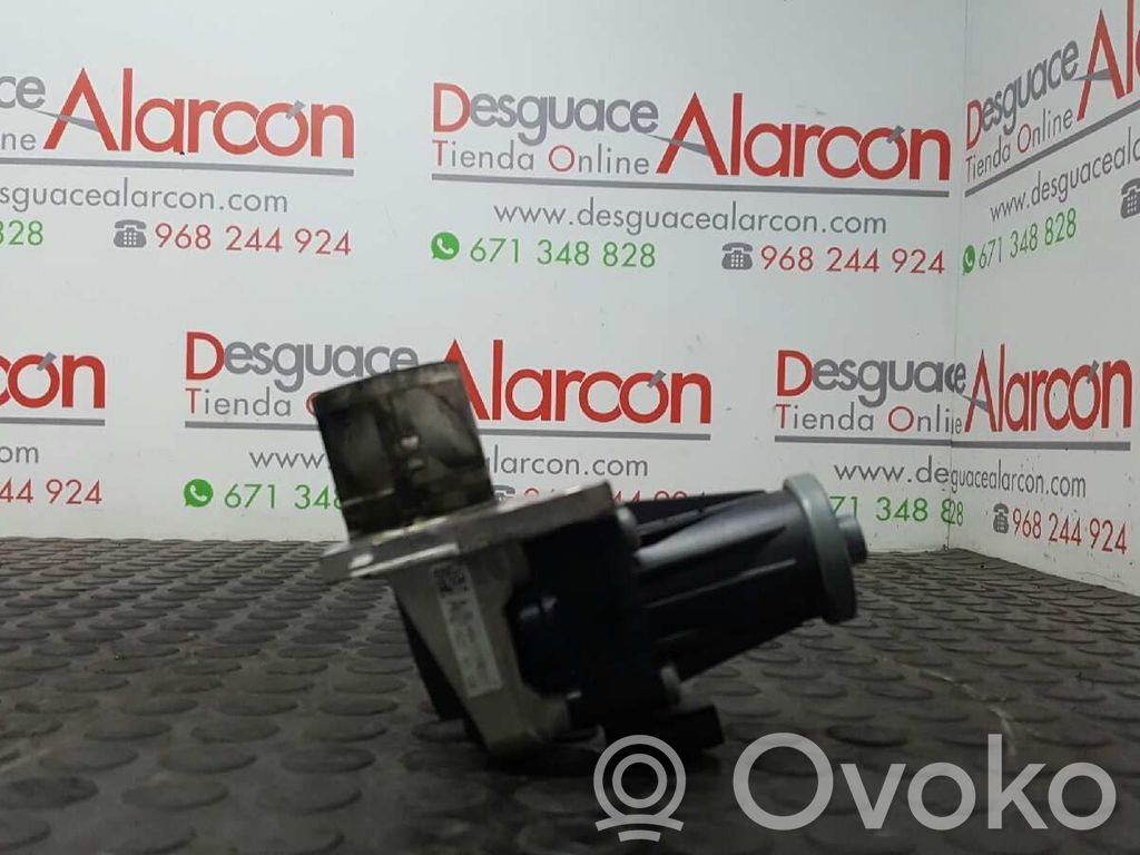 Altra parte esteriore   147107172R,H8201411538