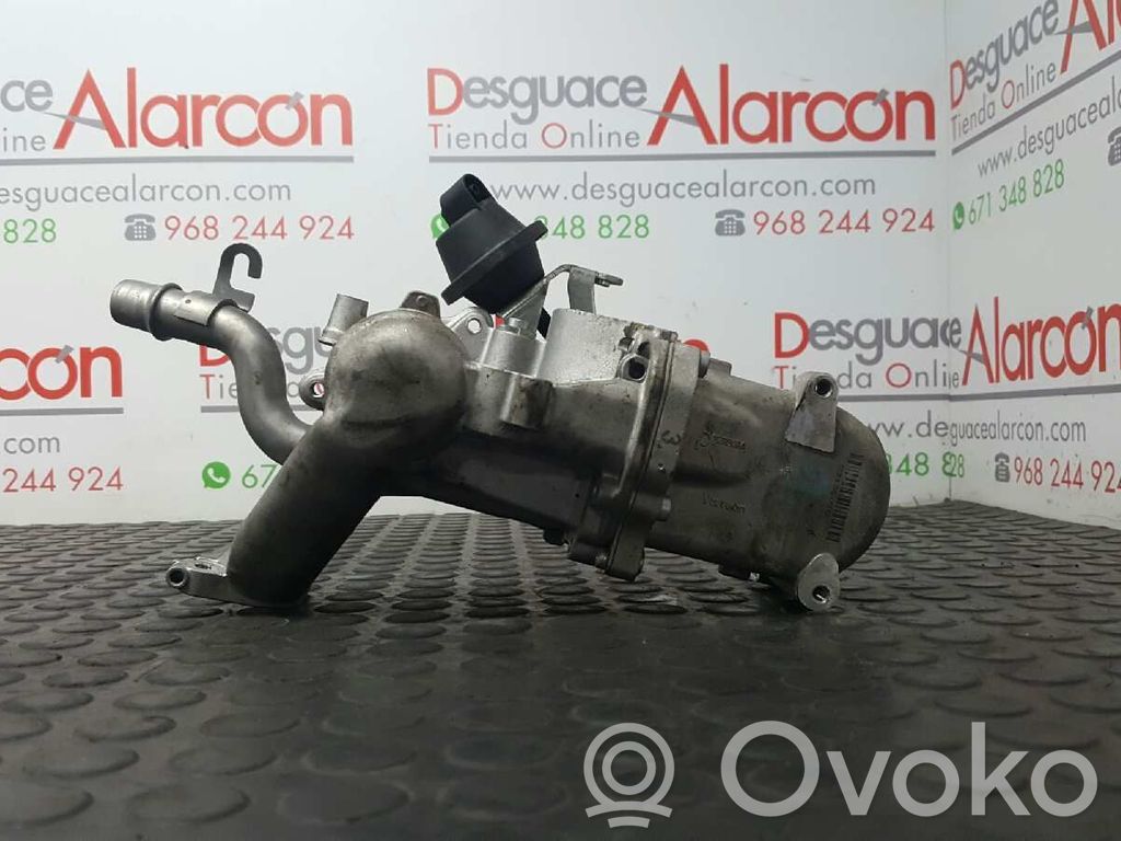 Peugeot Expert Valvola di raffreddamento EGR 