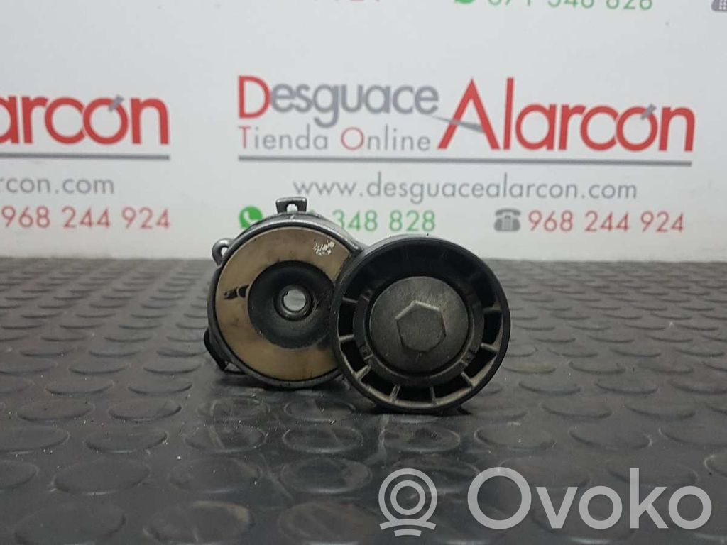 Peugeot Expert Tendicinghia generatore/alternatore 